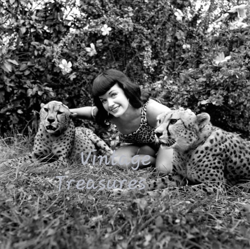 Bettie Page and Some Cheetahs - Etsy