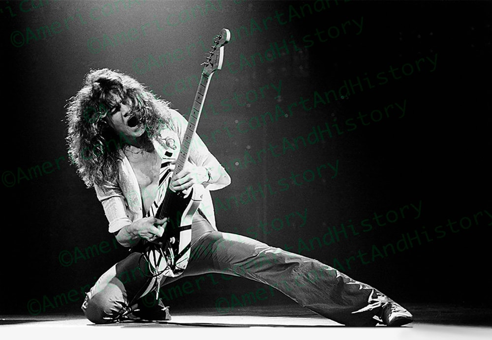 EDDIE VAN HALEN　置物　額　ピック　アート　インテリア　オブジェ EDDIE VAN HALEN 置物 額 ピック アート インテリア オブジェ