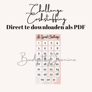 Cash stuffing no spend challenge
