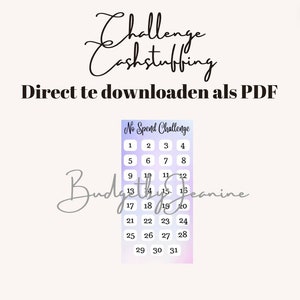 Cash stuffing no spend challenge