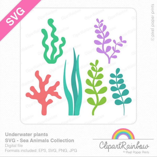 Underwater plants SVG - Sea animals clip art - SVG - Cut Files - PNG File - Digital download - Vector file - Sea plants clipart
