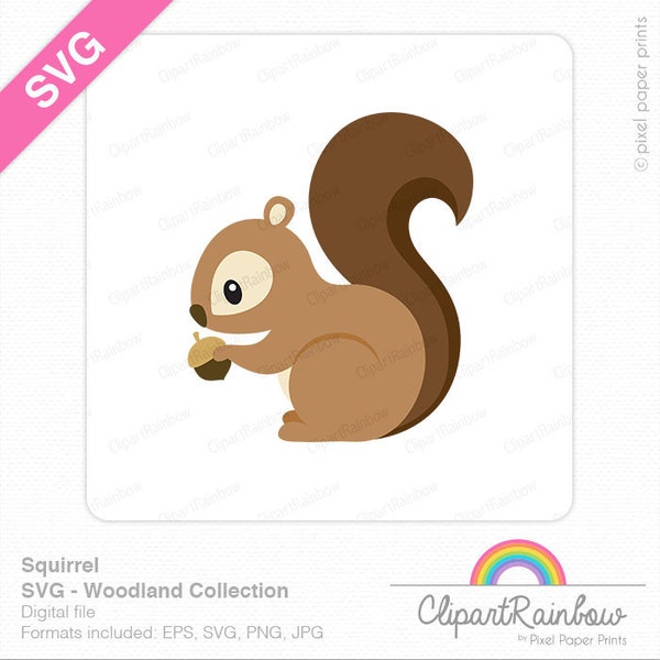 Squirrel SVG - Cute squirrel clip art - Forest animals SVG - Cut Files - PNG File - Digital - Vector file