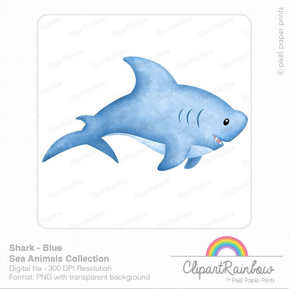 Shark Clipart Watercolor Shark Clip Art Baby Shark Etsy