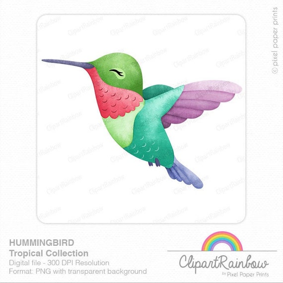 Watercolor Hummingbird Clipart Digital File - Etsy