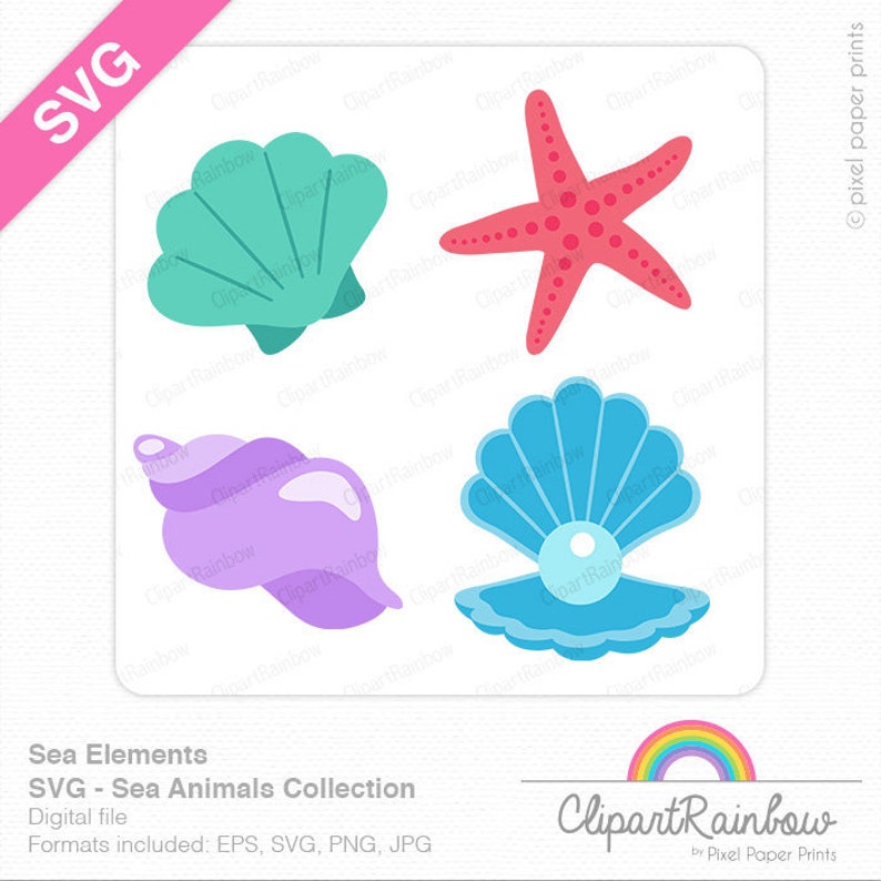 Download Nautical Clipart Seashell Oyster Pearl Starfish Svg Sea Elements Svg Cut Files Png File Digital Download Vector File Clip Art Art Collectibles Pgtktpaislamarrasyid Sch Id