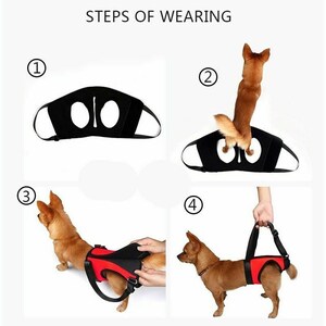 Front and/or Rear Support & Rehabilitation Dog Harness, Read Description for sizes, fast ship image 7