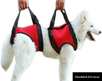 Arnés De Re Arnés Para Gatos Yosoo Sling Dog Lift Support Arnés De Re Arnés Para Gatos Yosoo Sling Dog Lift Support