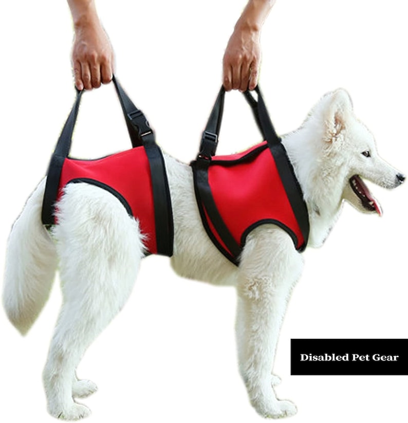 Front and/or Rear Support & Rehabilitation Dog Harness, Read Description for sizes, fast ship image 1
