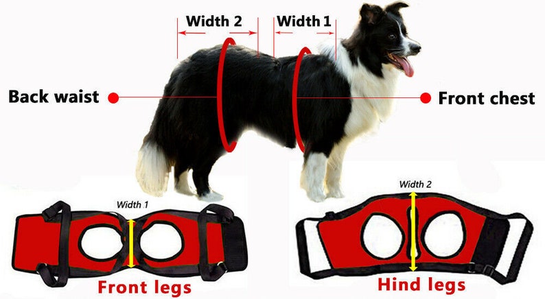 Front and/or Rear Support & Rehabilitation Dog Harness, Read Description for sizes, fast ship image 8