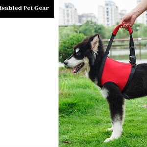 Front and/or Rear Support & Rehabilitation Dog Harness, Read Description for sizes, fast ship image 2