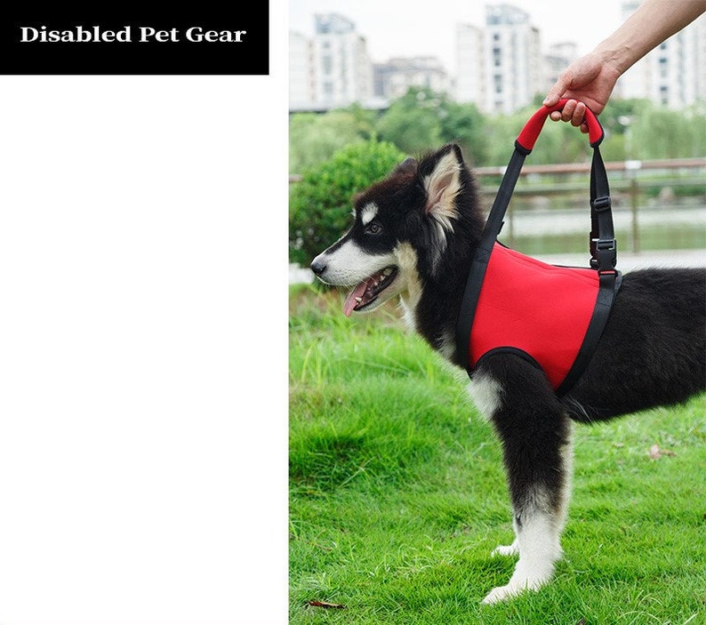 Front and/or Rear Support & Rehabilitation Dog Harness, Read Description for sizes, fast ship image 2