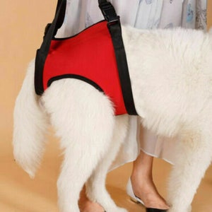 Front and/or Rear Support & Rehabilitation Dog Harness, Read Description for sizes, fast ship image 6