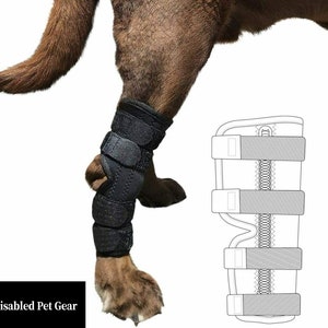 Dog Rear Leg Hock Joint Knee Brace with Extra Metal Spring Support