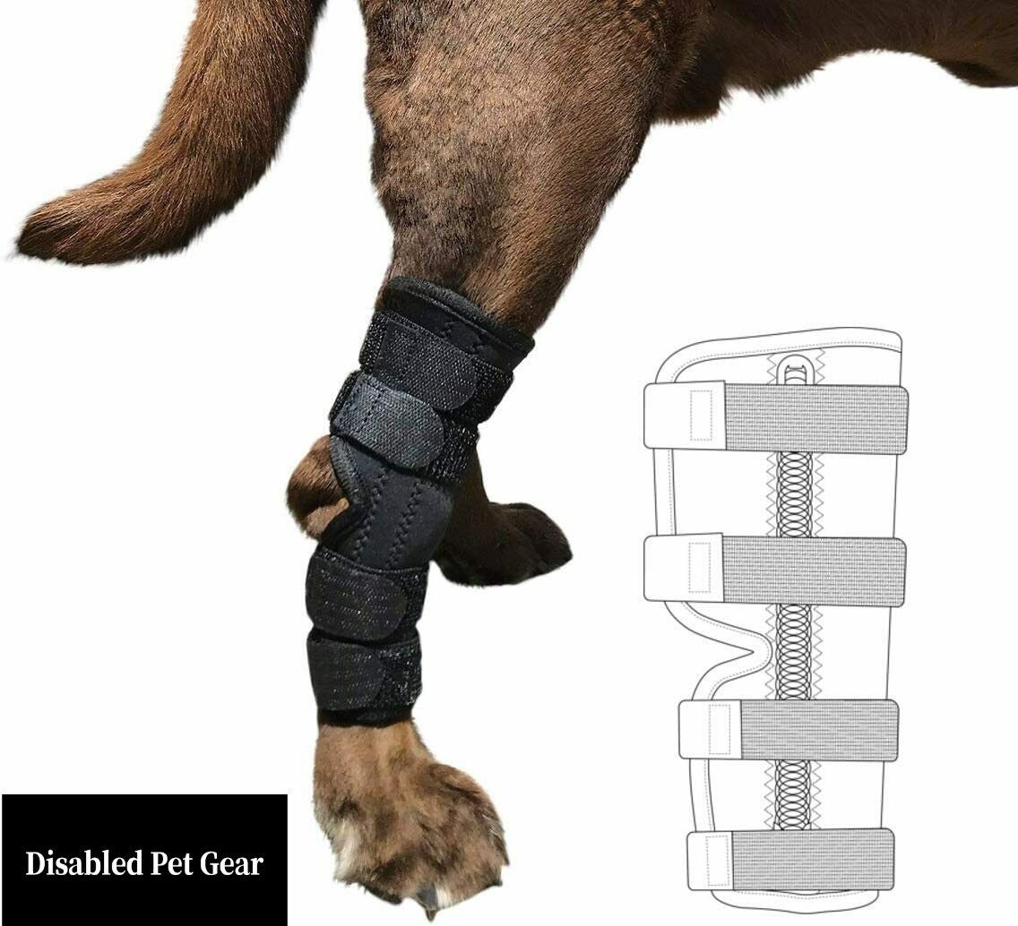 How Do You Splint A Dogs Hind Leg