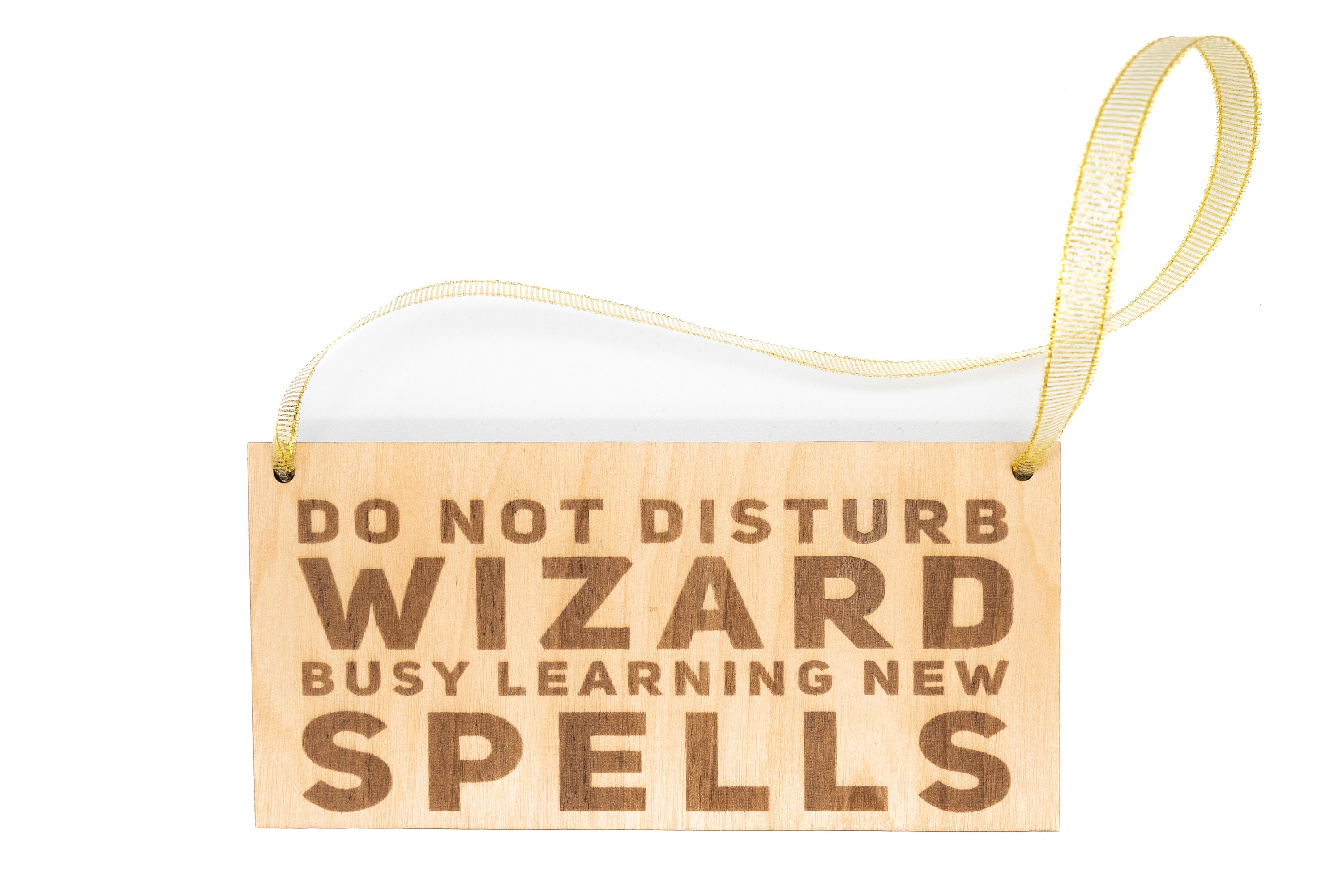 Harry Potter Bedroom Door Sign, Do Not Disturb Wizard Busy Learning New
