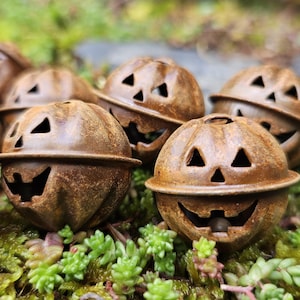 Puede incluir: Primer plano de varias pequeñas calabazas de metal marrón oxidado con ojos triangulares y sonrisas talladas. Las calabazas están colocadas sobre un lecho de suculentas verdes y moradas.