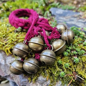 Op de afbeelding: Een cluster van antieke messing bellen bevestigd aan een diep magenta gebreid koord. De bellen zijn rond met een donkere, verouderde afwerking. Het koord is gelust en geknoopt, wat een decoratief element creëert. De achtergrond is groen mos.