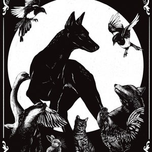The protector - black & white, art print, cat, wall art, swan, wildlife