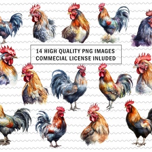 14 Watercolor Rooster Clipart, Animals, Nursery, High Quality Clipart, Instant Download, 300 Dpi, Transparent PNG Files, Commercial use