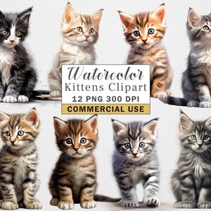 Watercolor Kitten Clipart, 12 High Quality PNGs, Animals Clipart, Instant Download, 300 DPI, Transparent PNG Files, Commercial use