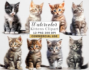 Watercolor Kitten Clipart, 12 High Quality PNGs, Animals Clipart, Instant Download, 300 DPI, Transparent PNG Files, Commercial use