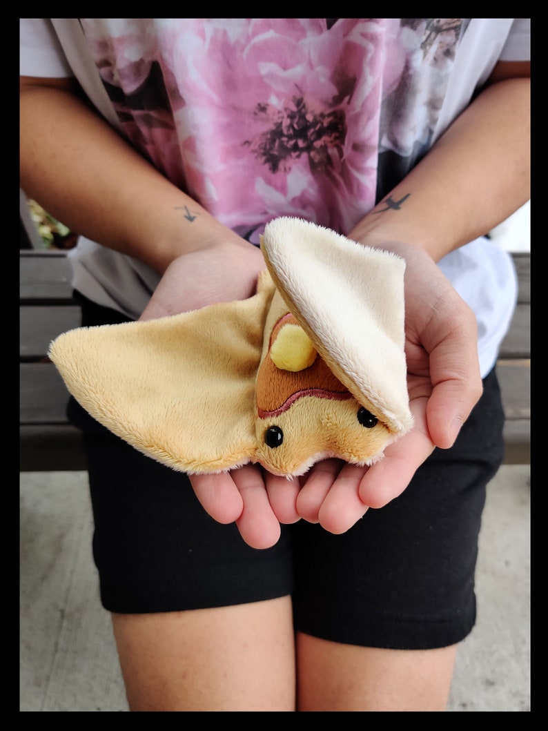 sea pancake plush