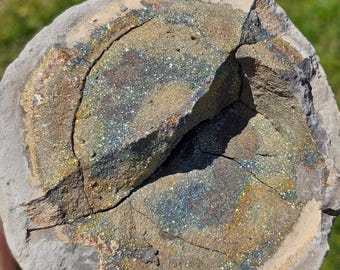 Rare Pyrite Septarian Nodule from Russia – Natural Crystal Mineral Specimen, Druzy Display Stone, Collector's Gift or Decor