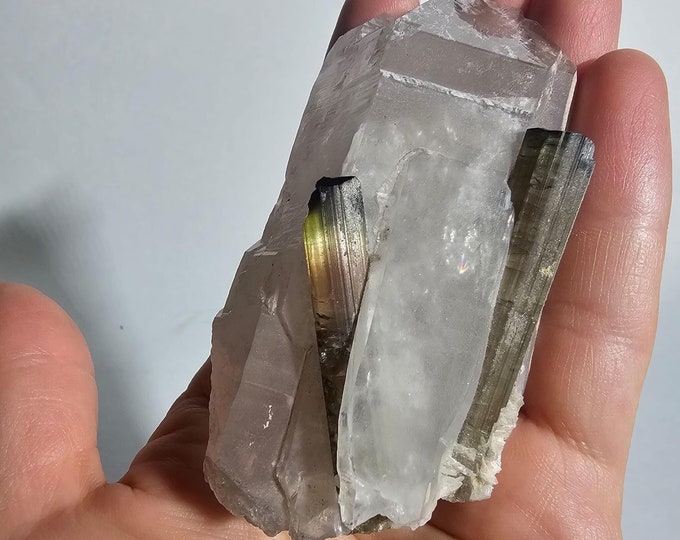 Rare Brazilian Tourmaline Crystal with Quartz – Natural Gemstone for Healing, Decor & Collectors