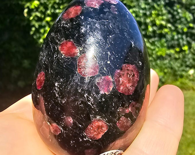 Polished Eudialyte & Aegirine Egg – Rare Red Crystal in Black Matrix Mineral Specimen