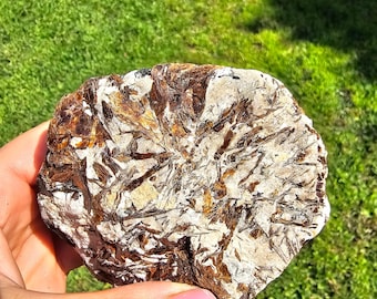 Rare Russian Astrophyllite Crystal – Golden-Bronze Gemstone for Healing Energy & Spiritual Growth Natural Raw Stone