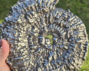 Large Pyritized Ammonite Fossil – Rare Jurassic Metallic Ammonite from Russia