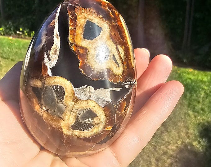 Polished Simbircite Septarian Egg – Dragon Stone Crystal, Black Orange Calcite Fossil Decor