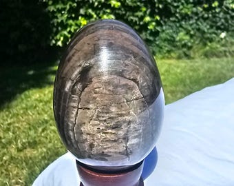 Polished Petrified Wood Egg – Large Fossil Crystal, Natural Stone Home Decor