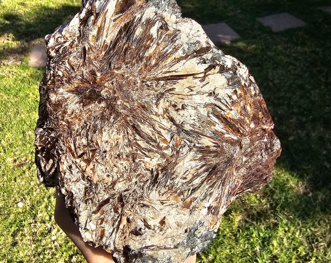 Rare Russian Astrophyllite Crystal | Raw Natural Gemstone for Healing, Meditation, Collection & Jewelry Making