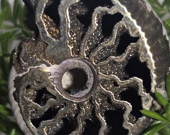 Pyritized Ammonite Fossil from Russia – Rare Jurassic Gold Fossil Collector Specimen