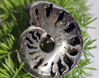 Pyritized Ammonite Fossil from Ryazan, Russia – Rare Jurassic Collectible, Natural Metallic Shell, Unique Gift, Home Décor, Geology Specimen