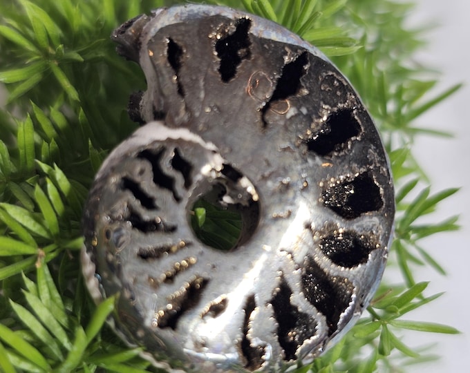 Pyritized Ammonite Fossil from Ryazan, Russia – Rare Jurassic Collectible, Natural Metallic Shell, Unique Gift, Home Décor, Geology Specimen