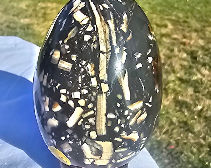 Polished Fossil Egg, Black Fossil Limestone Specimen, Crystal Carving, Unique Display Decor Gift