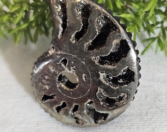 Pyritized Ammonite Fossil from Ryazan, Russia – Rare Jurassic Collectible, Natural Metallic Shell, Unique Gift, Home Décor, Geology Specimen