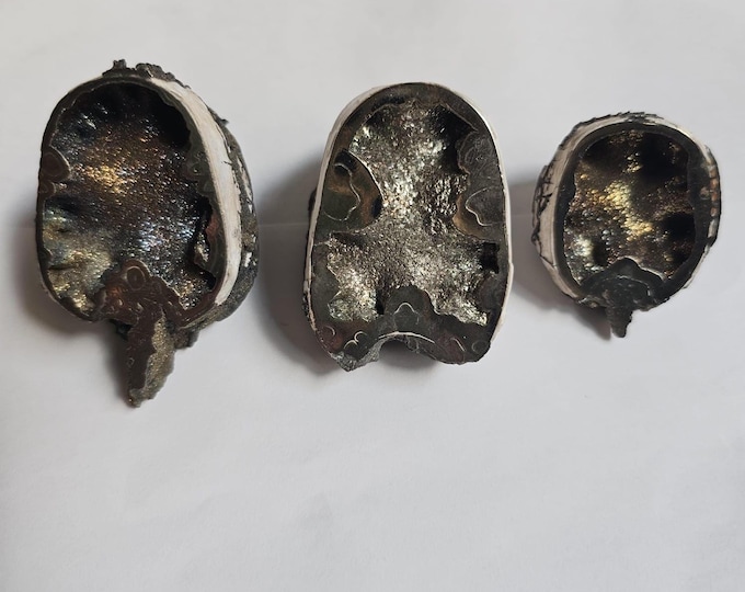Pyritized Ammonites cross section from Ryazan City Region, Russia (Over 160 Million Years Old!)