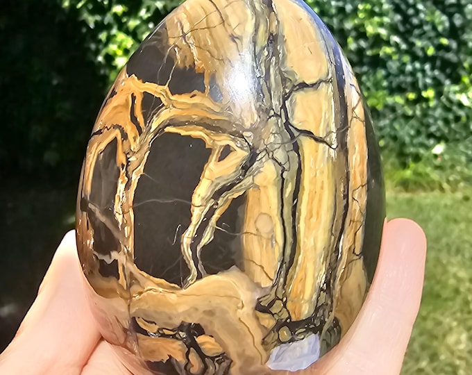 Polished Petrified Wood Egg – Fossilized Wood Specimen, Natural Stone Home Decor
