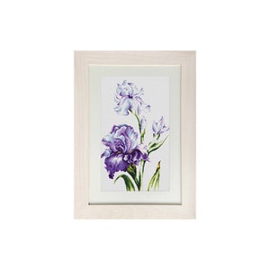 May include: A framed cross-stitch embroidery featuring a bouquet of purple and white irises on a white background.