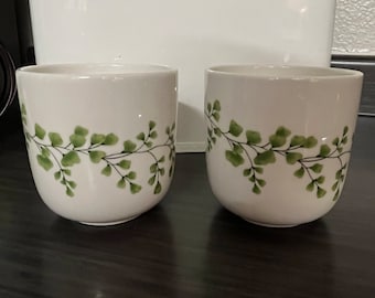 Helecho liebre doncella de 16 oz Martha Stewart lote de dos