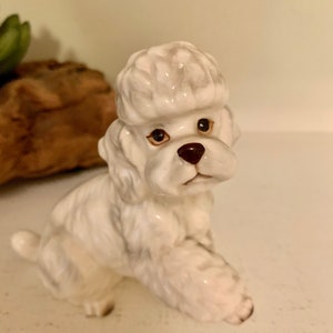 Vintage norcrest porcelain shafford poodle dog—made in Japan—4” tall