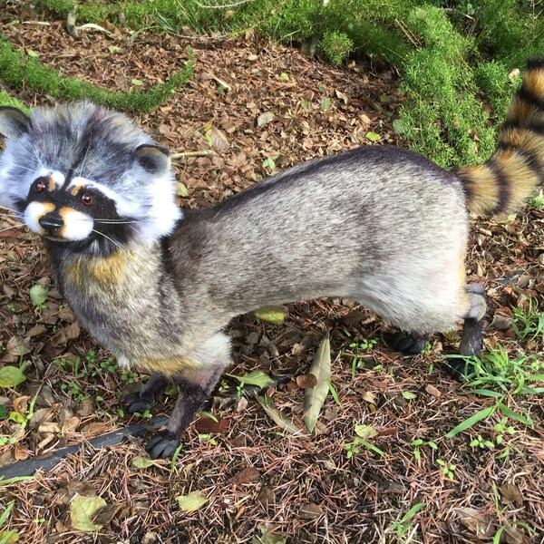 Ferret Art Doll Etsy