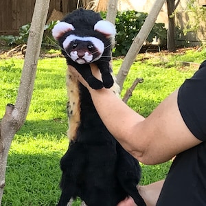 Ferret floppy art doll