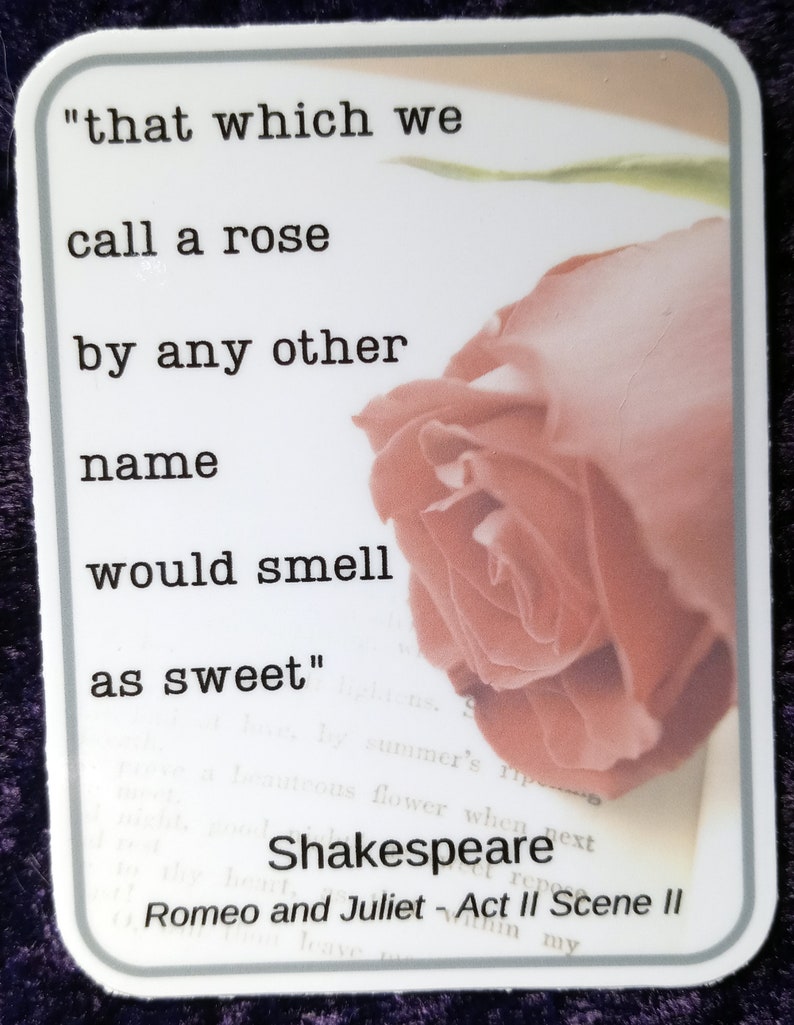 WHOSAIDTHAT Shakespeare Stickers Set of 6 Romeo & Juliet, Merchant of Venice, Hamlet, Twelfth Night, Richard III water bottles, laptops image 5