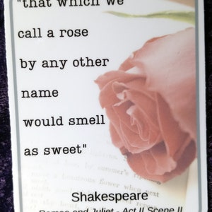 May include: A white card with a pink rose on it. The card has a quote from Shakespeare's Romeo and Juliet: "that which we call a rose by any other name would smell as sweet".