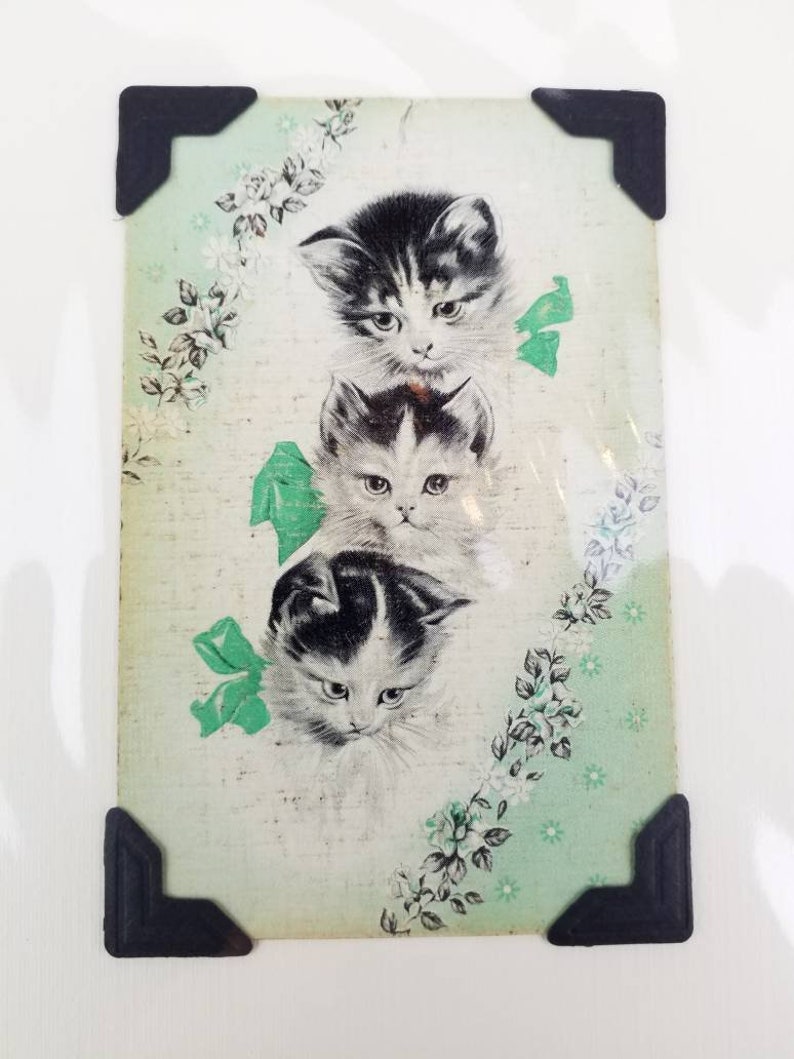 May include: Vintage print featuring three adorable kittens with black and white fur, set against a light green background with floral accents and green bows. The print is framed with black corner protectors, adding a touch of nostalgia.