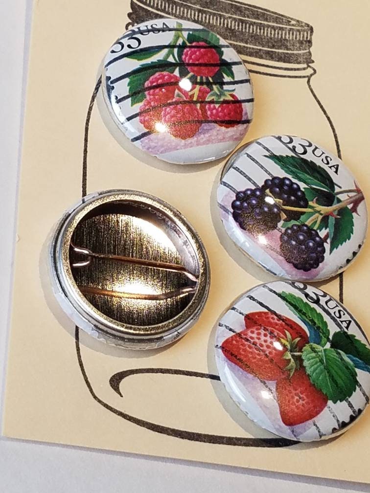 Vintage Paper Pinback Buttons 1 Inch With Strawberries Blackberries ...